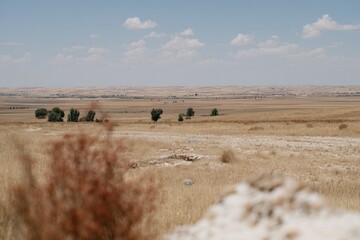 Obraz premium Dry, vast landscape under a pale sky