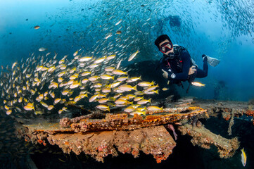 Fototapety na wymiar - Fototapeta24.pl