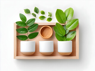 bouquet of green plants and branches with leaves in white mugs and glasses on white background isolated, for stylish kitchen interior design