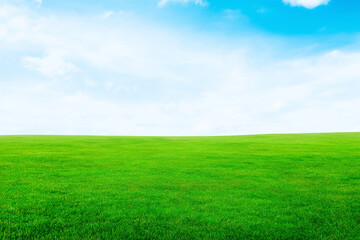 Green Grass Field under Blue Sky  
