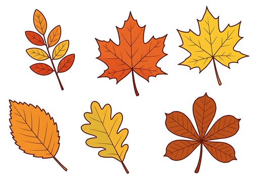 Fall leaf cartoon set featuring six colorful autumn leaves &mdash; red, yellow, green, and orange &mdash; including birch, maple, oak, and chestnut, illustrated in vector style on a white background.