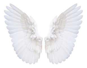 Fototapeta premium Cute Baby Angel Wings PNG 