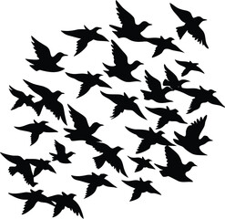 Fototapeta premium vector silhouettes of birds