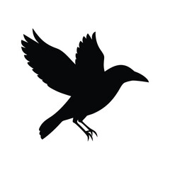 Silhouette of a bird in flight with wings spread