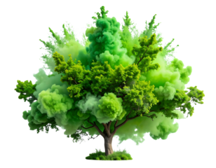 Smoke Bomb Blast in Shape of Tree