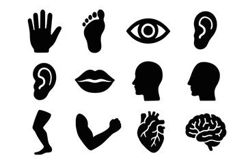 Human Body Icon