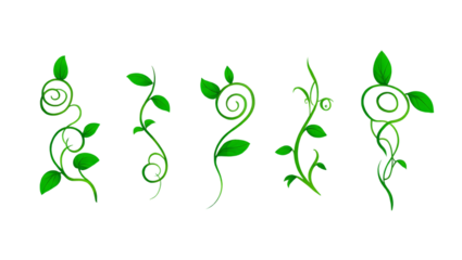 Vibrant Green Vine and Leaf Illustrations Nature's Swirls and Flourishes