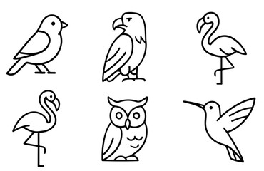 Line Art Bird Icon Set in Black and White Outline Featuring Sparrow, Eagle, Flamingo, Owl, Parrot, and Hummingbird in a Modern Flat Style Vector pack
