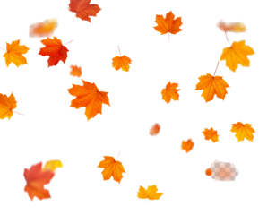 Falling Autumn Maple Leaves PNG