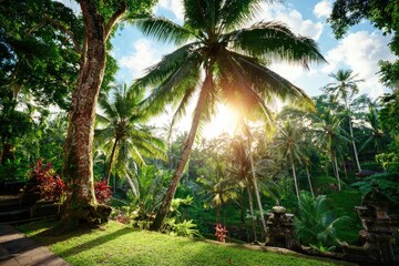 Obraz premium Lush tropical garden, sunlight filtering through palm trees