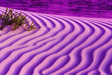Purple sand dunes with vibrant rippling patterns