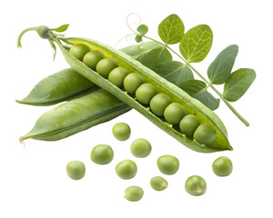 fresh green peas in pea pods