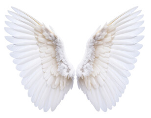 Fototapeta premium Cute Baby Angel Wings PNG
