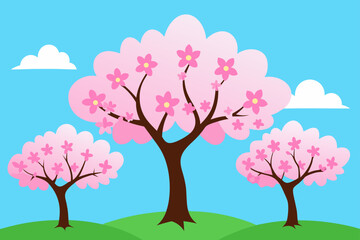 Blooming Cherry Blossoms under Clear Blue Sky