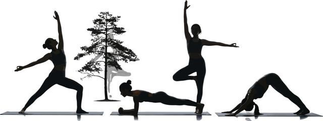 Vector art of a silhouettes of women doing yoga poses