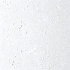 Fototapeta premium Distressed White Surface Pattern