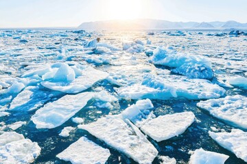 Glacial icebergs scattered on a turquoise sea, sunlit