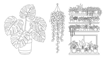 Assortment of potted plants including monstera, ivy, and various plants on shelves near a window