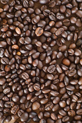Coffee beans background