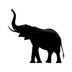Obraz premium Elephant Silhouette with Raised Trunk Side View on White Background