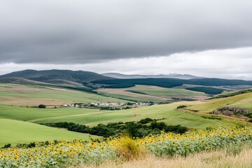 Rolling hills, village nestled, sunflowers, overcast sky