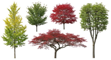 Collection of diverse trees with green, yellow, and red foliage on transparent background