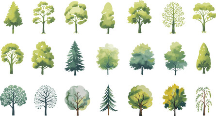 A collection of watercolor trees isolated on white background © Mobasshara