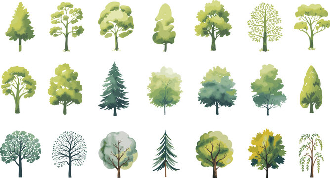 A collection of watercolor trees isolated on white background