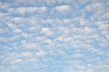 Obraz premium Cumulus clouds on a blue sky background.Nature, sky with clouds, summer, weather ,environment, landscape.