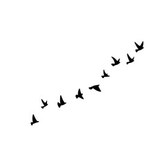 "A clean vector set of bird silhouettes in flight against a white background. Ideal for tattoos, wall art, and nature-inspired designs—symbolizing freedom, grace, and the beauty of the wild."