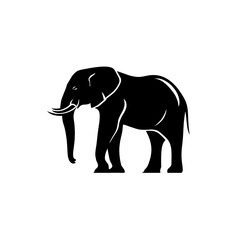 Obraz premium elephant vector illustration