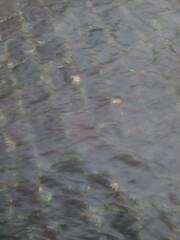 Rainy road with running water and reflections on wet asphalt.	