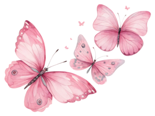  pink butterflies in watercolor style isolated on background white