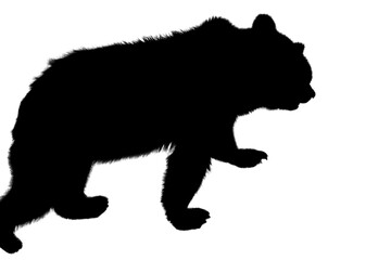  Bear with Copy Text Space. Powerful Wildlife Animal Element for Nature, Forest, and Adventure-Themed Designs. PNG File