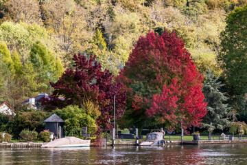 Autumn colours, Henley on Thames