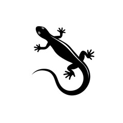 Fototapeta premium Newt lizard on a white background