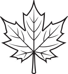 Obraz premium Maple leaf outline vector illustration line art
