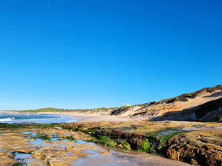 The beach at Soldiers Point New South Wales Australia with green algae growing on rocks.