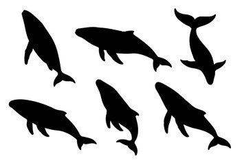Silhouette set of whale animals and fish in black vector set illustration flat style