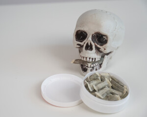 Skull Chewing Tobacco on a White Table.