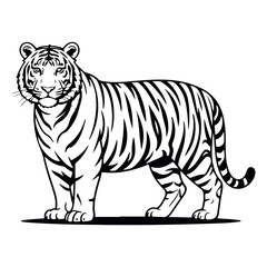Fototapeta premium Dynamic Black Tiger Vector in Fierce Attack Pose – Perfect for Bold Logos, Streetwear, and Wildlife Branding. Thank You .