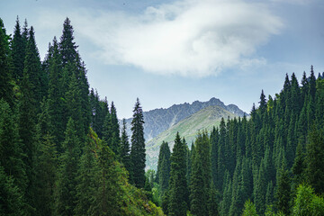 These Beautiful Tien Shan Mountains