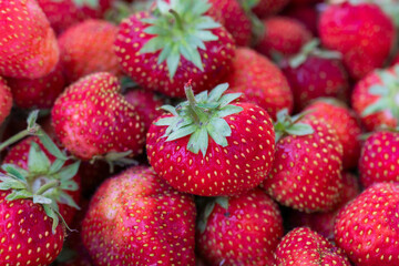 bunch of beautiful ripe strawberries, summer berry, strawberry harvest, beautiful summer picture