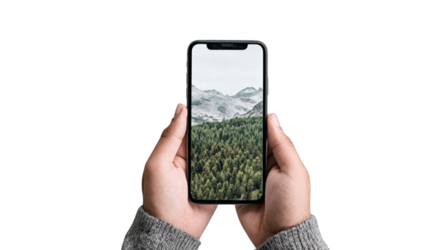 A person is holding a phone and looking at a picture of a forest