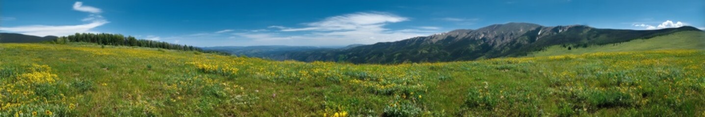 Fototapeta premium Panoramic view of a vibrant meadow rocky mountains hdr 360 degrees landscape nature