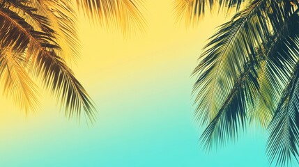 52.A horizontal header design with lush palm tree canopies casting subtle shadows, framed by a sunny gradient blending yellow and turquoise hues.