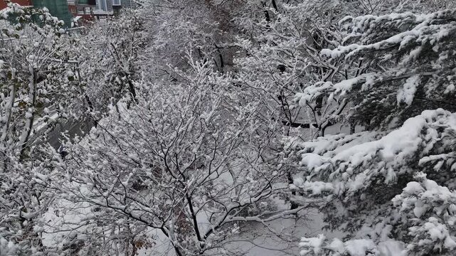인천광역시 연수구 연수동 원인재 인근의 눈쌓인 아파트 풍경 