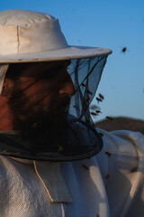 Beekeeper wearing protective suit working with bees in apiary