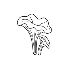 Cute doodle illustration of a chanterelle mushroom in hand drawn style. Perfect for autumn forest designs, food projects and botanical prints. Simple and charming line art.