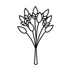 vector illustration of a flower